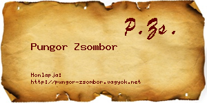 Pungor Zsombor névjegykártya