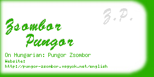 zsombor pungor business card